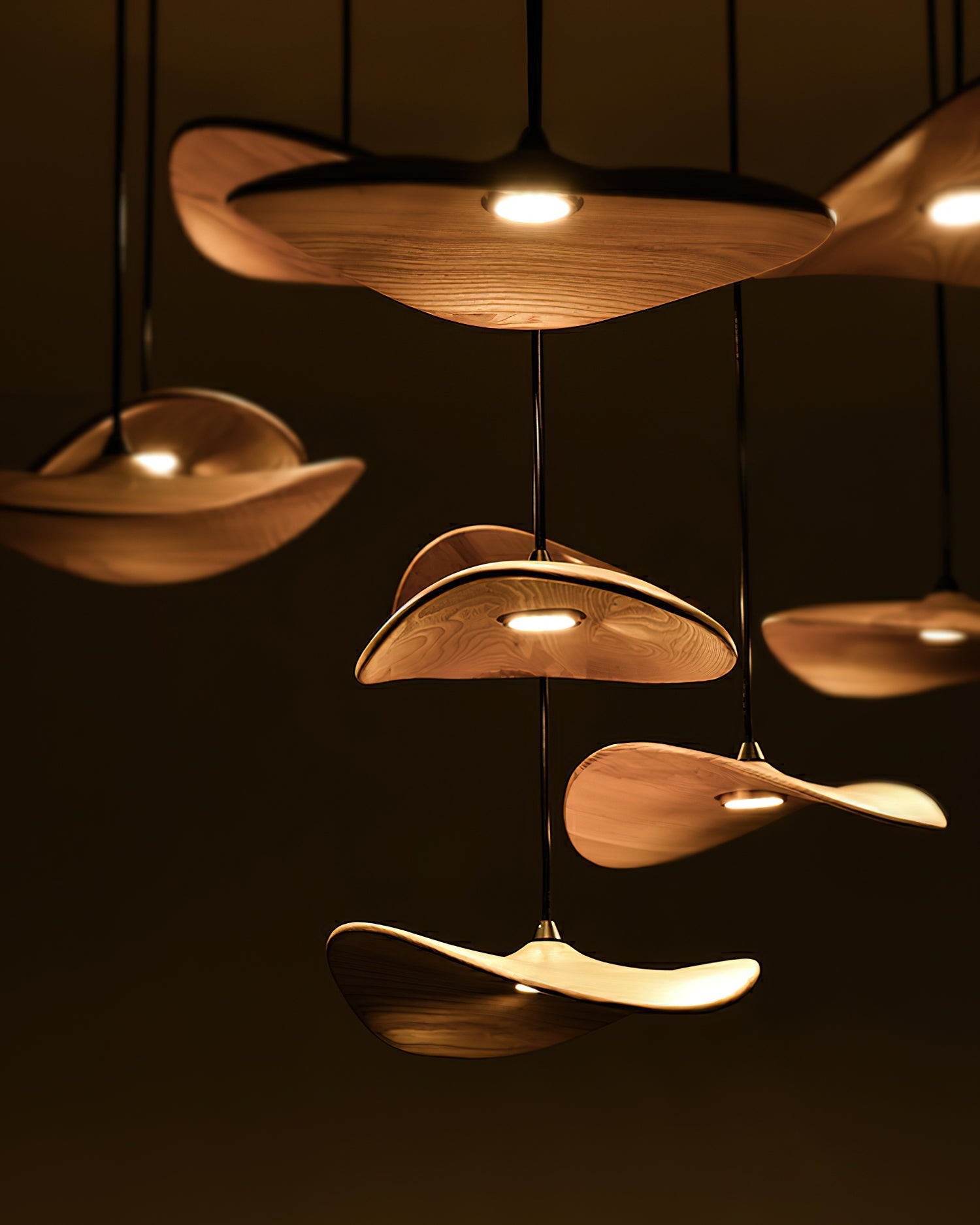 empty-leaf-chandelier-anzaz--26