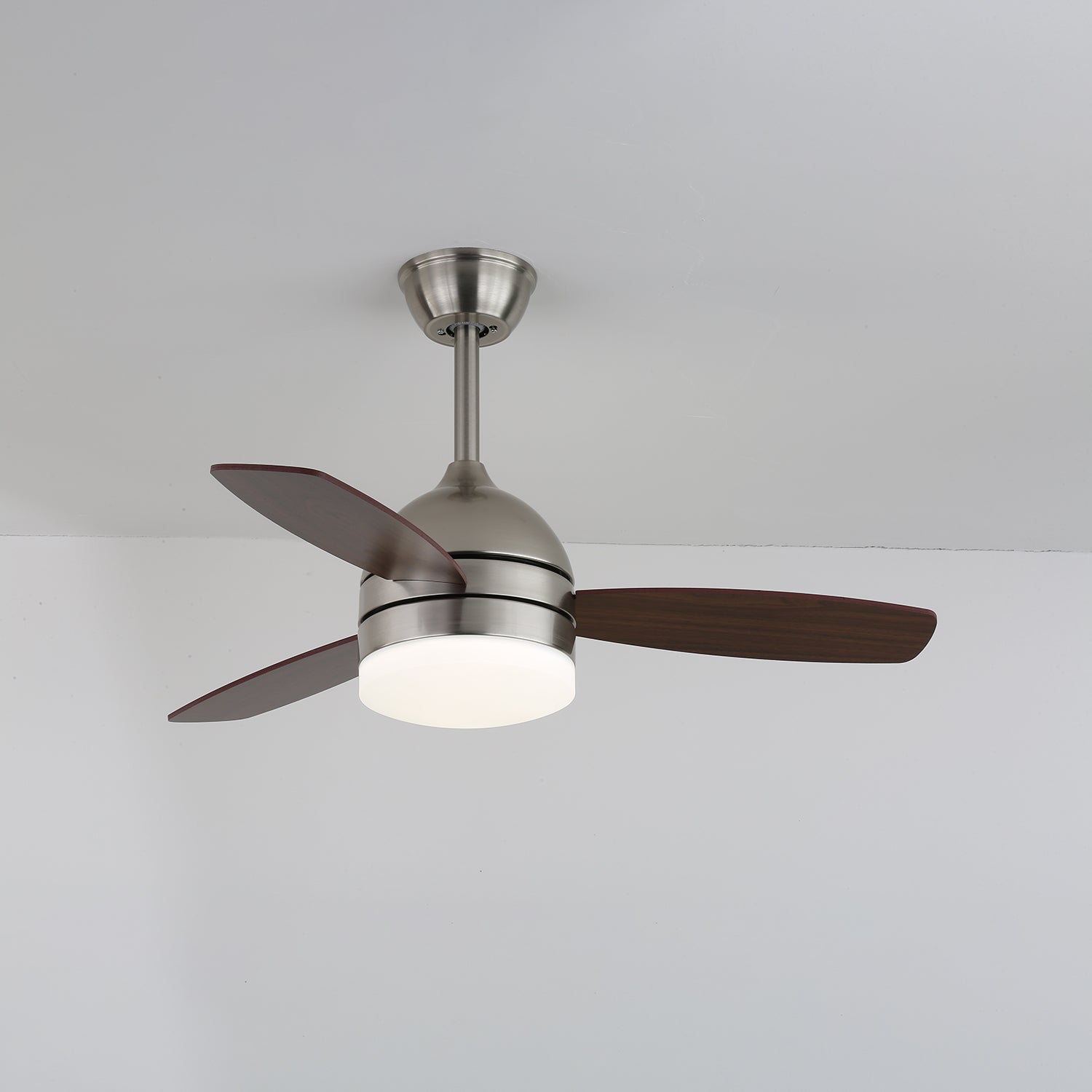 ethan-ceiling-fan-light-anzaz--5