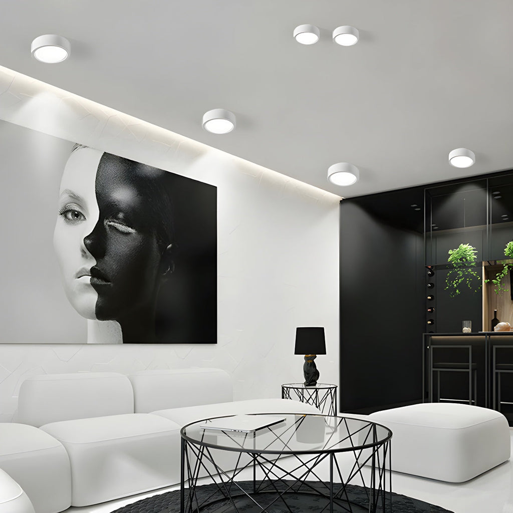 ethan-surface-ceiling-light-anzaz--9