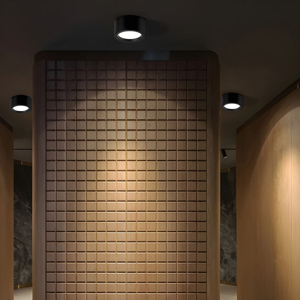 ethan-surface-ceiling-light-anzaz--4