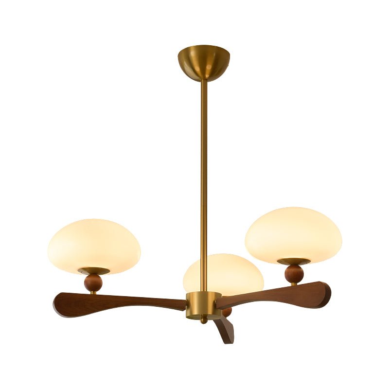 evander-ray-chandelier-anzaz--14