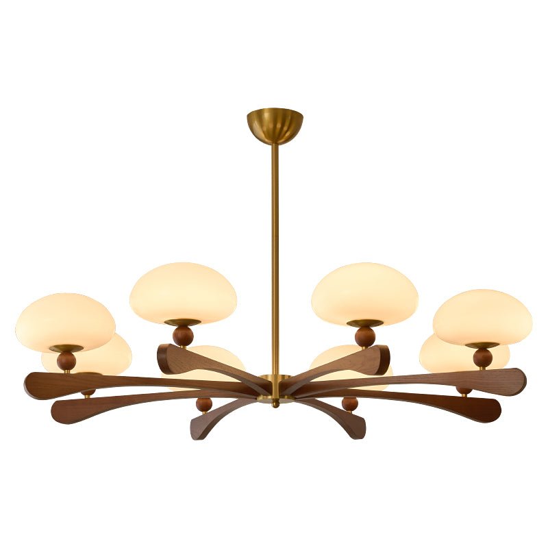 evander-ray-chandelier-anzaz--16