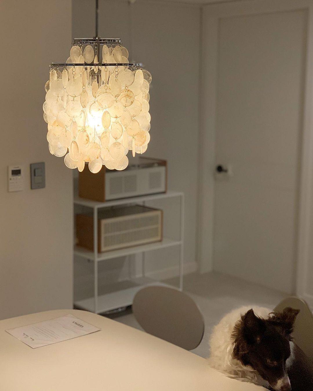 shell-pendant-lamp-anzaz--33