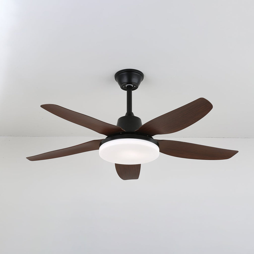 felix-ceiling-fan-light-anzaz--4