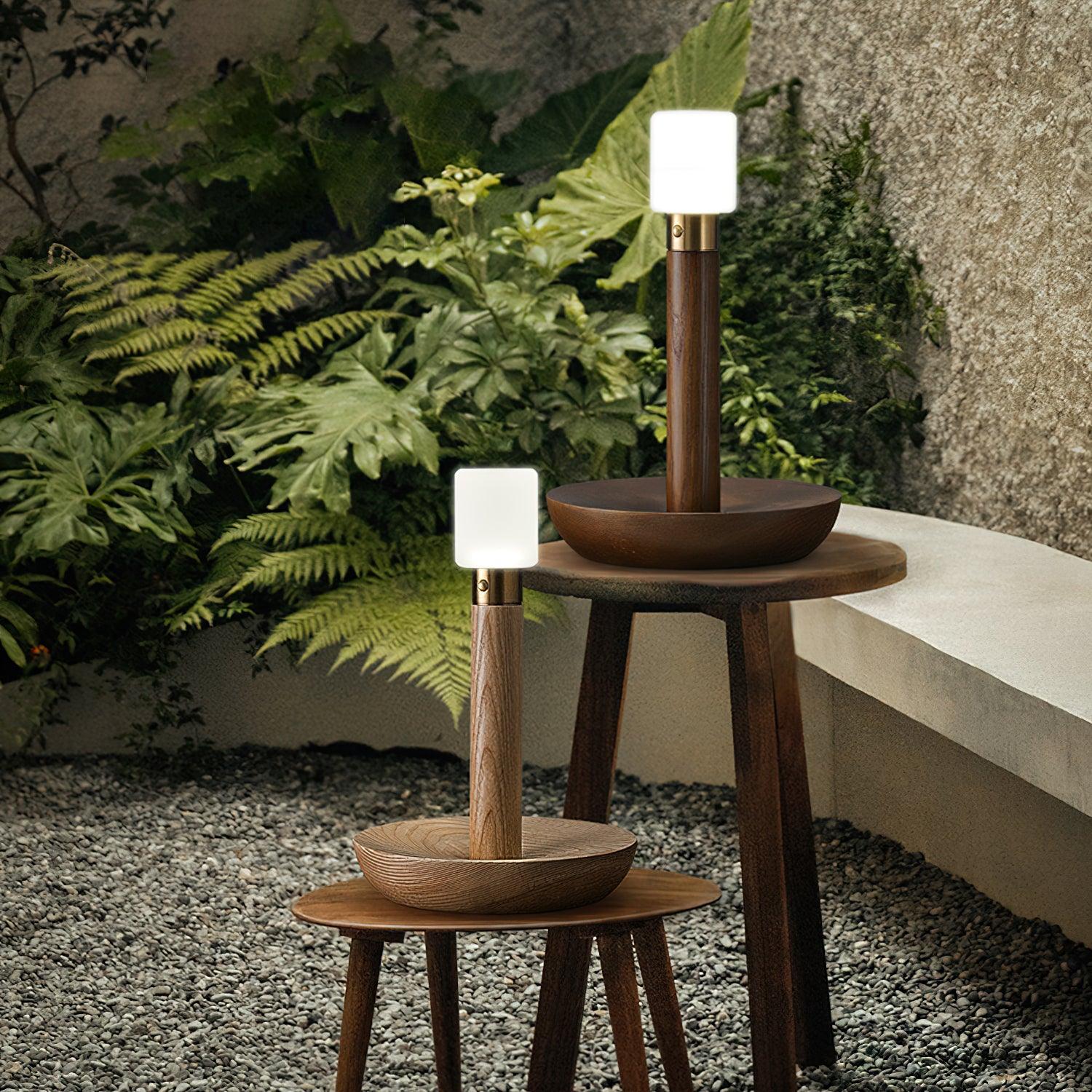 fire-stick-built-in-battery-table-lamp-anzaz--9