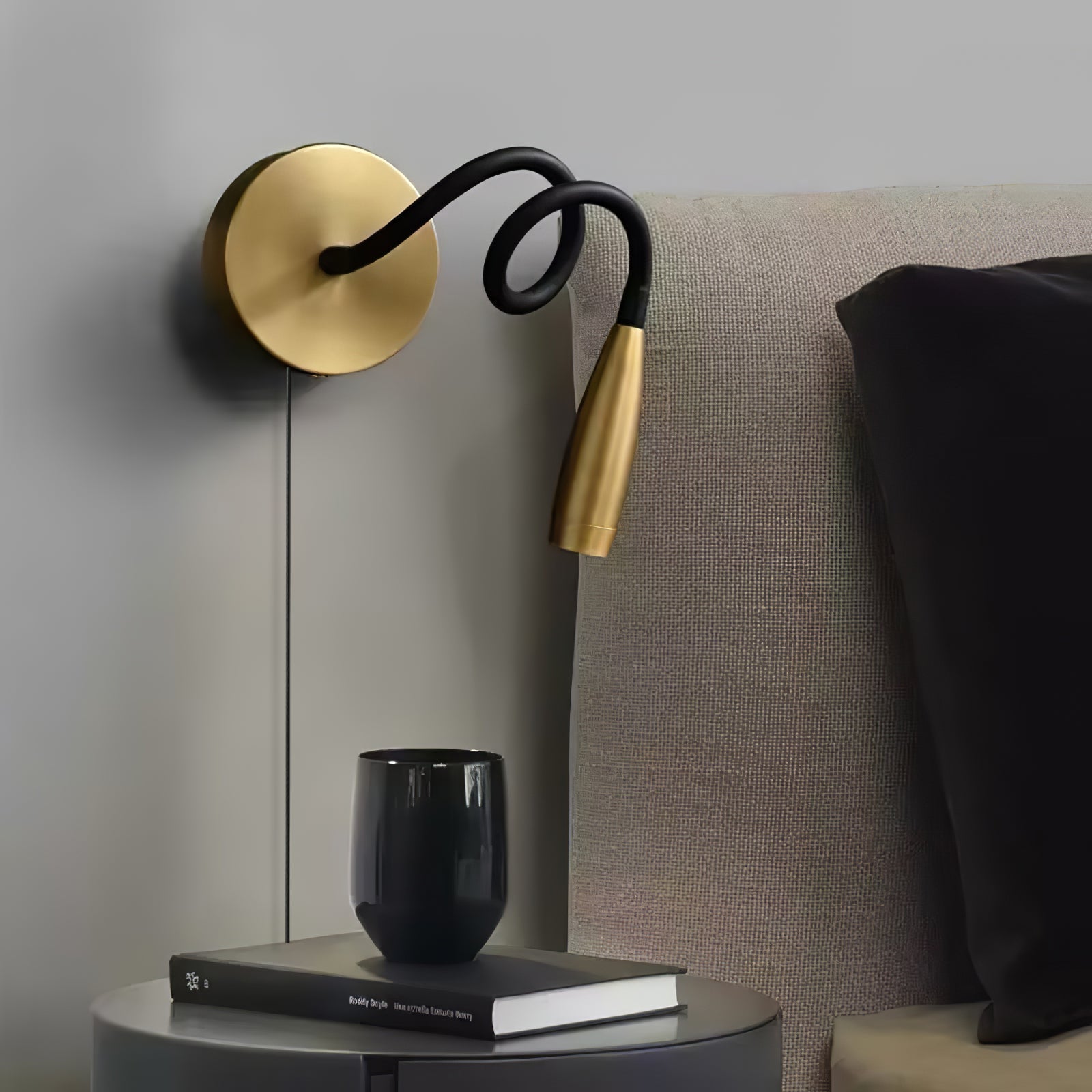flexi-hose-plug-in-wall-light-anzaz--6