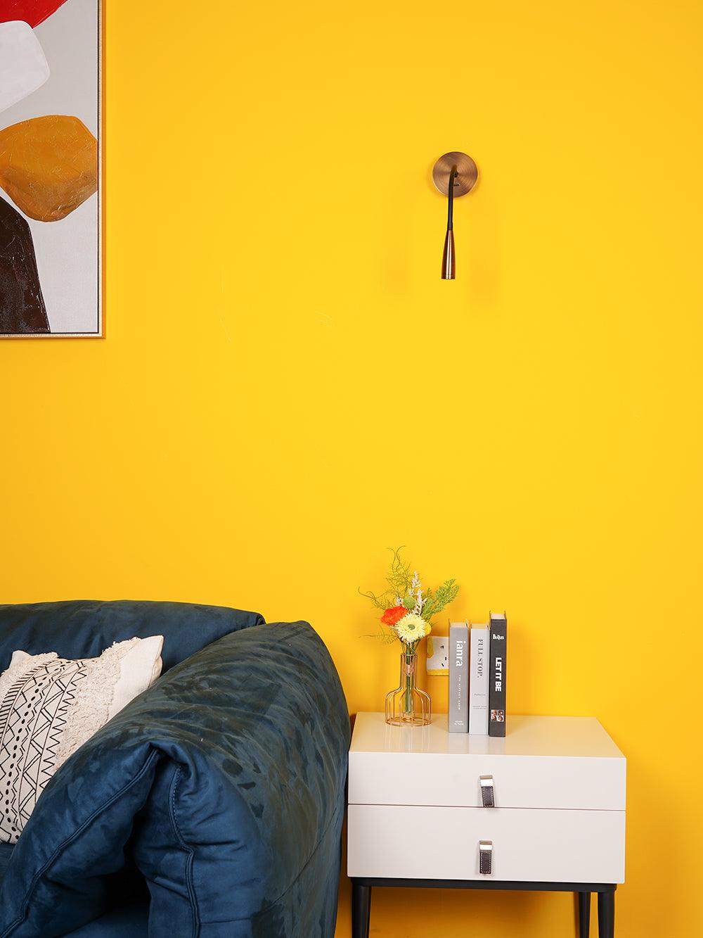 flexi-hose-plug-in-wall-light-anzaz--12