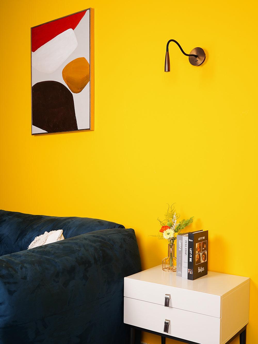flexi-hose-plug-in-wall-light-anzaz--13
