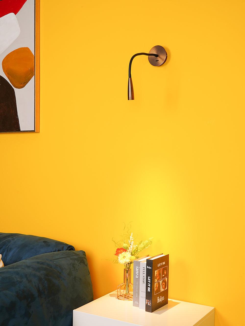 flexi-hose-plug-in-wall-light-anzaz--14