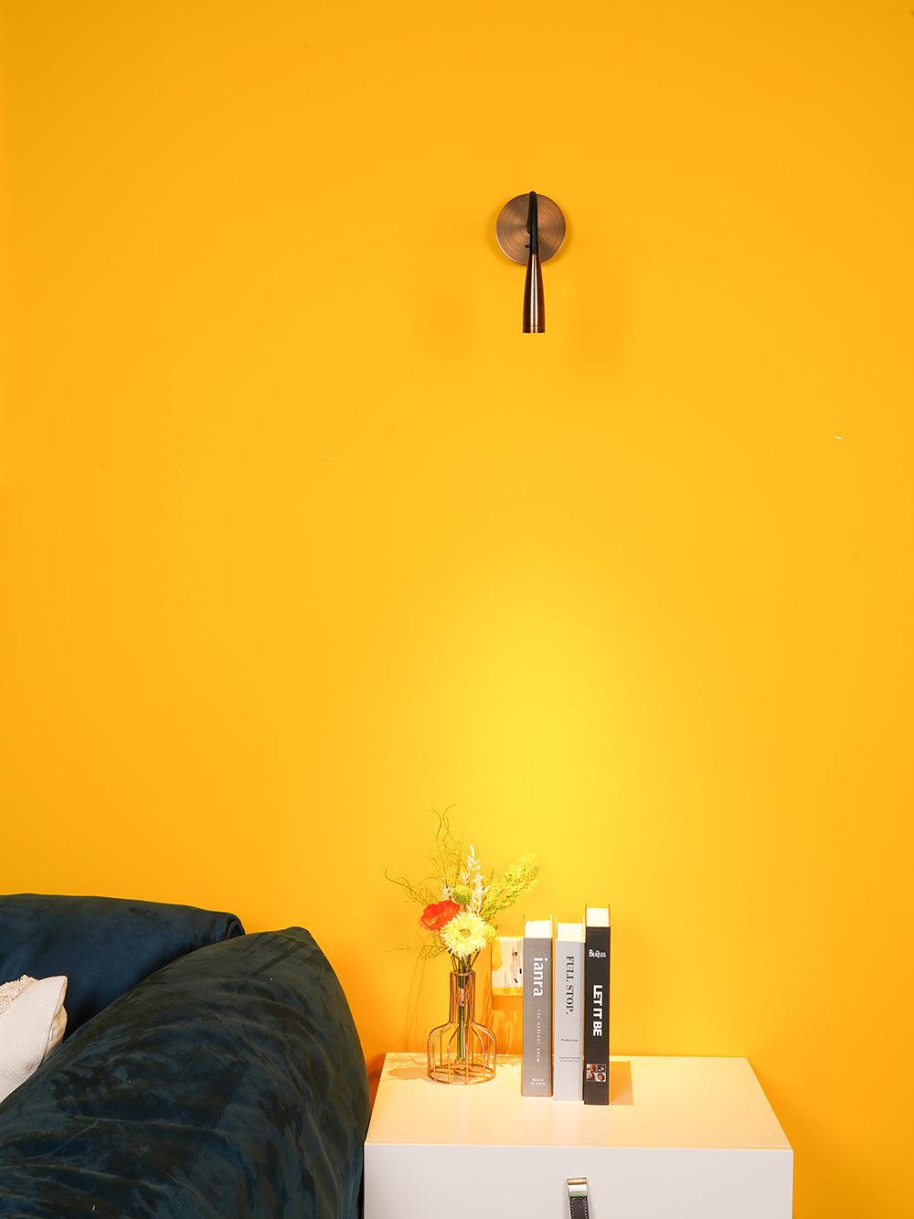 flexi-hose-plug-in-wall-light-anzaz--15