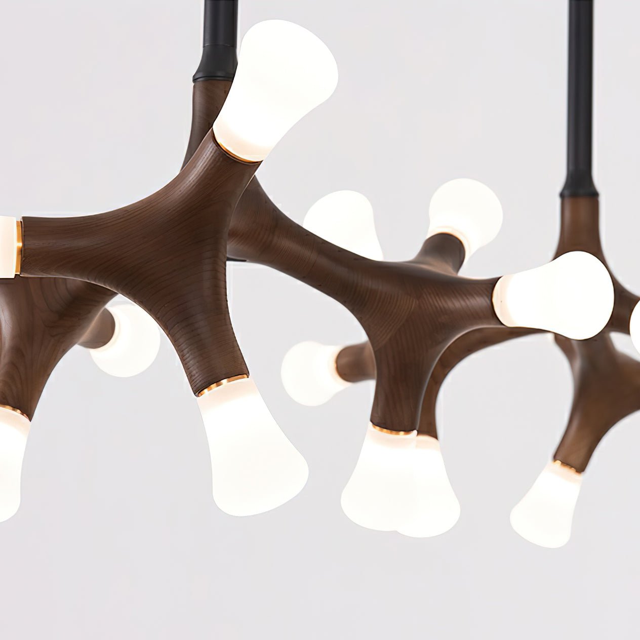 flower-bone-chandelier-anzaz--20