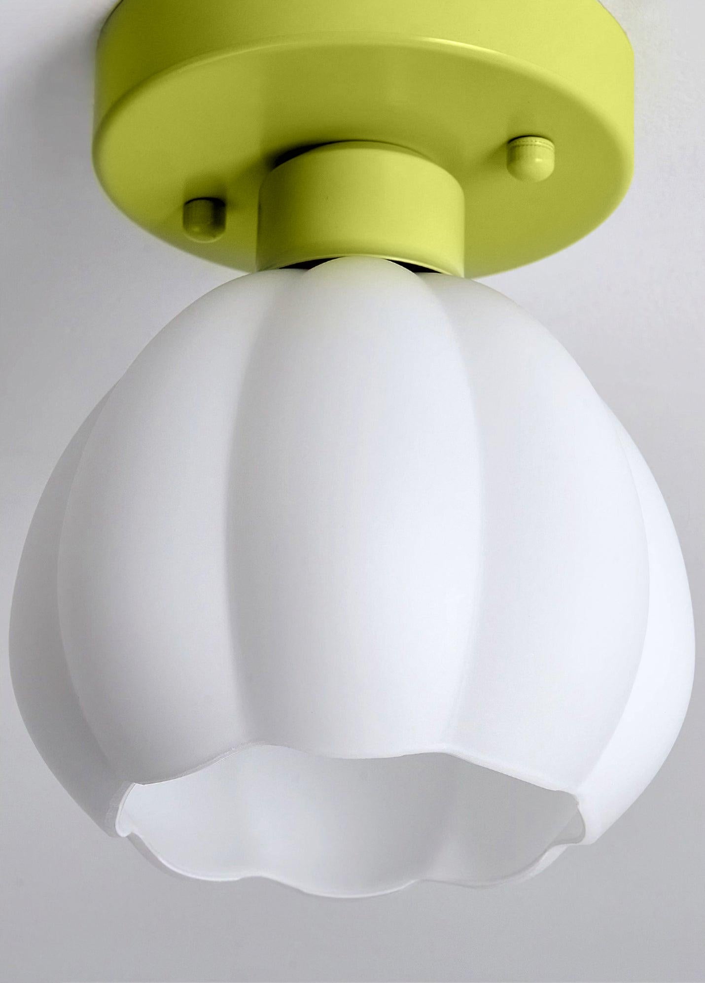 flower-shaded-semi-flushmount-light-anzaz--5