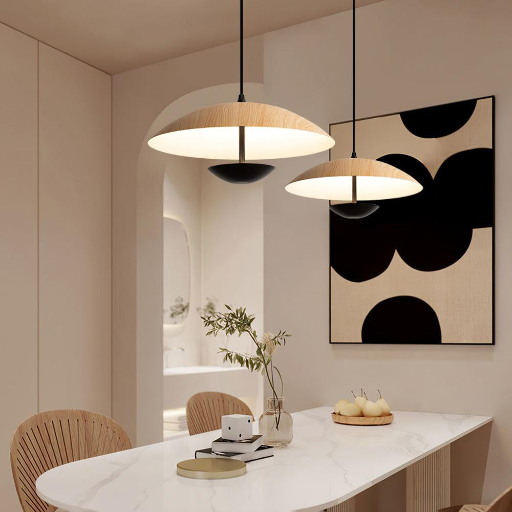 frisbee-pendant-lamp-anzaz--29