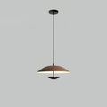 frisbee-pendant-lamp-anzaz--31