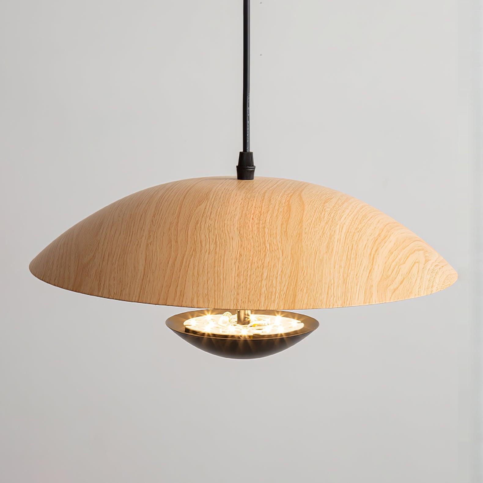 frisbee-pendant-lamp-anzaz--40