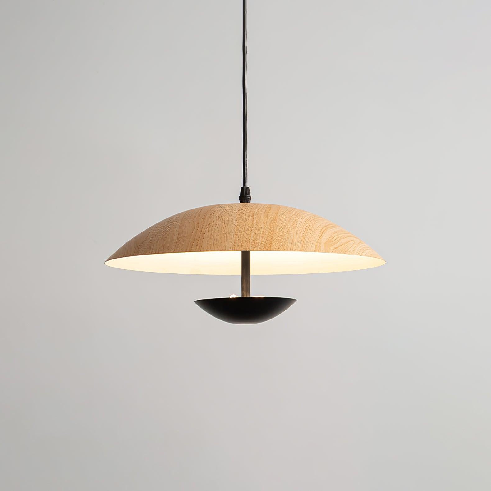 frisbee-pendant-lamp-anzaz--32