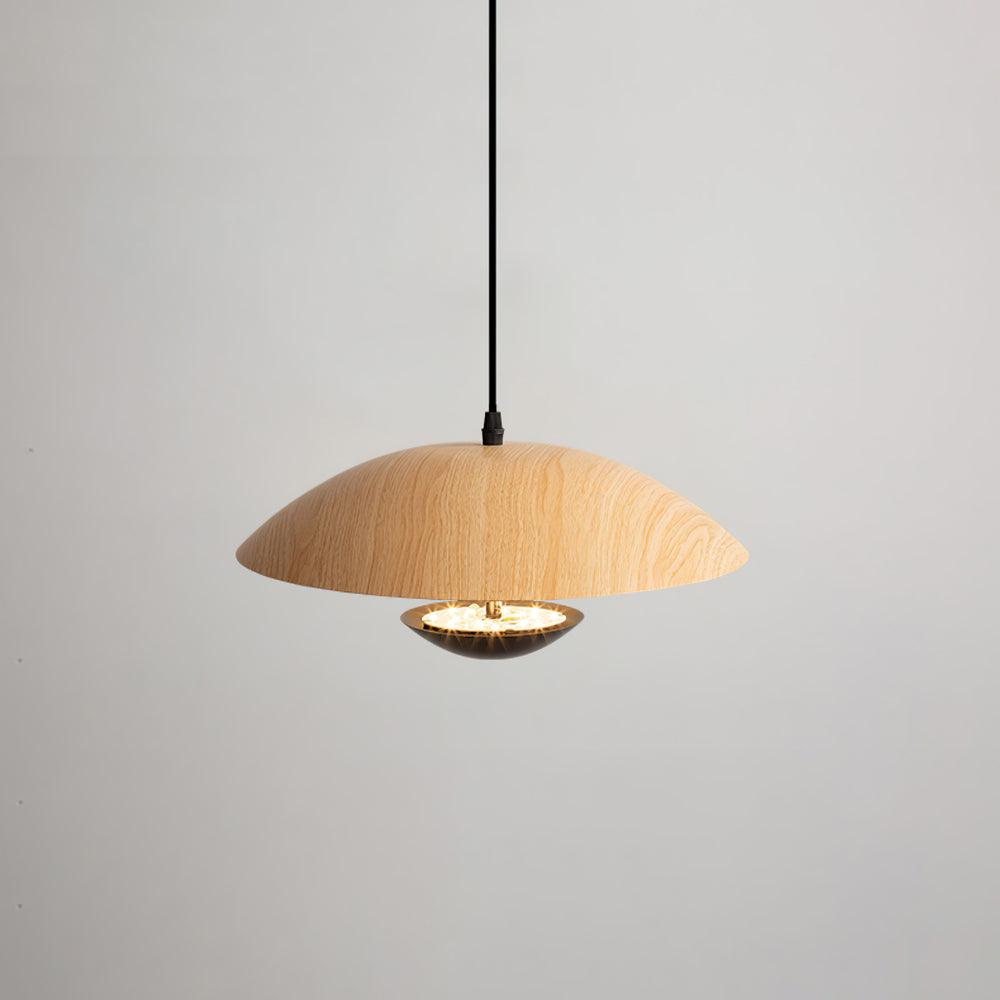 frisbee-pendant-lamp-anzaz--41