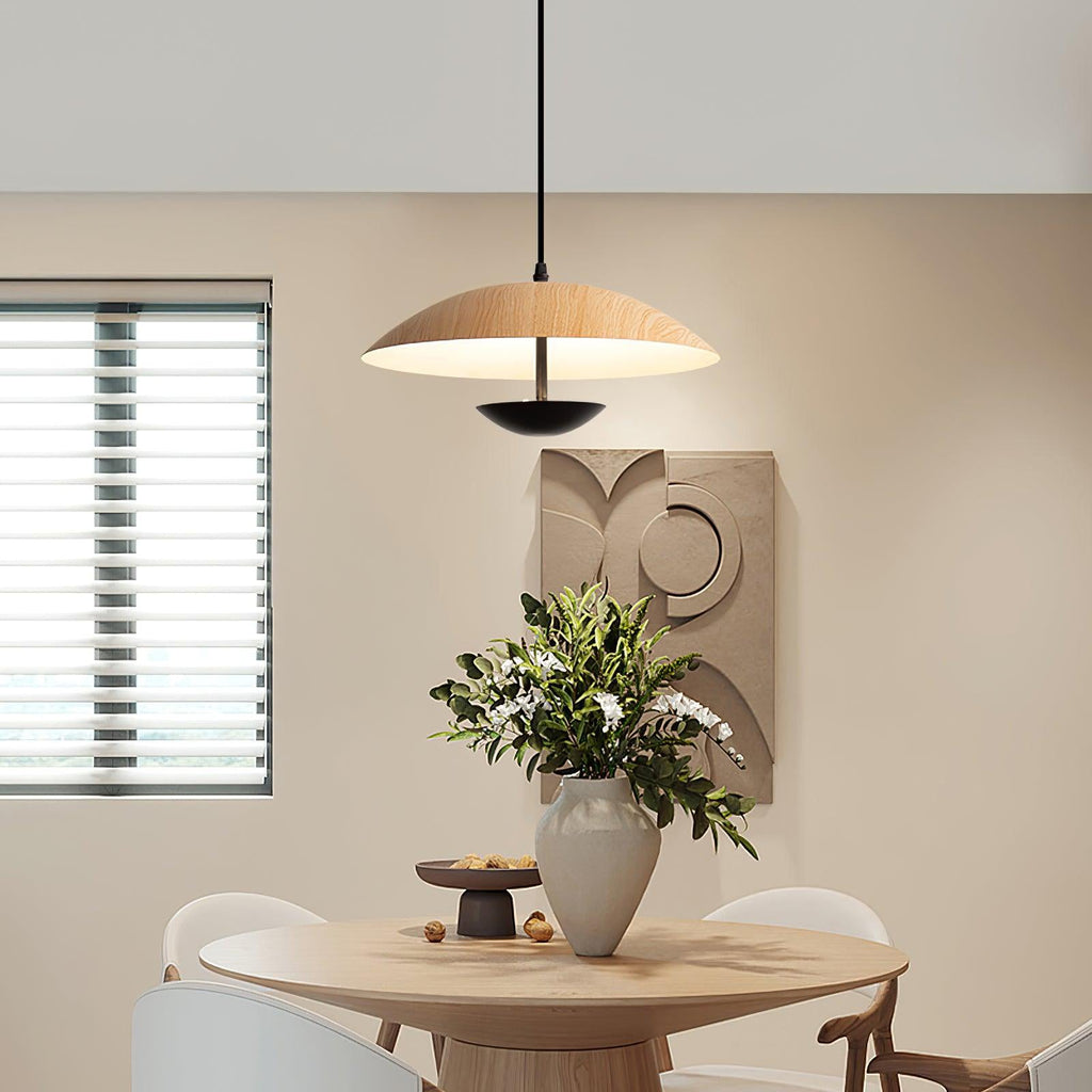 frisbee-pendant-lamp-anzaz--33