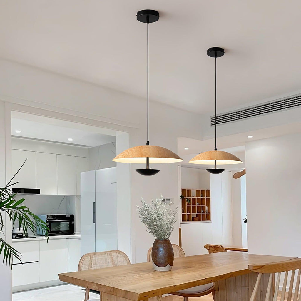 frisbee-pendant-lamp-anzaz--34