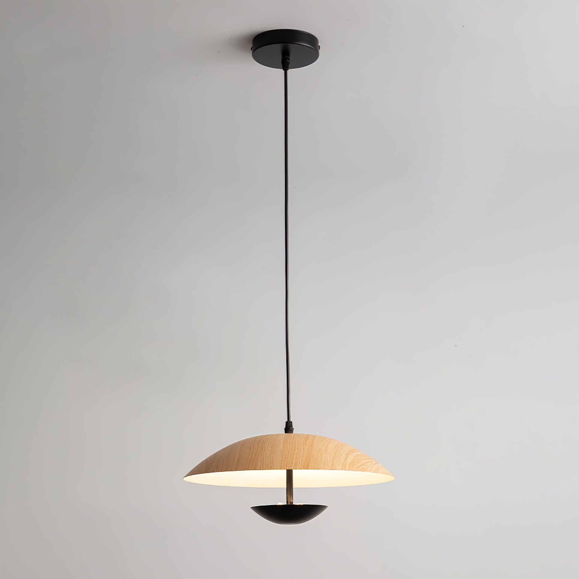 frisbee-pendant-lamp-anzaz--35