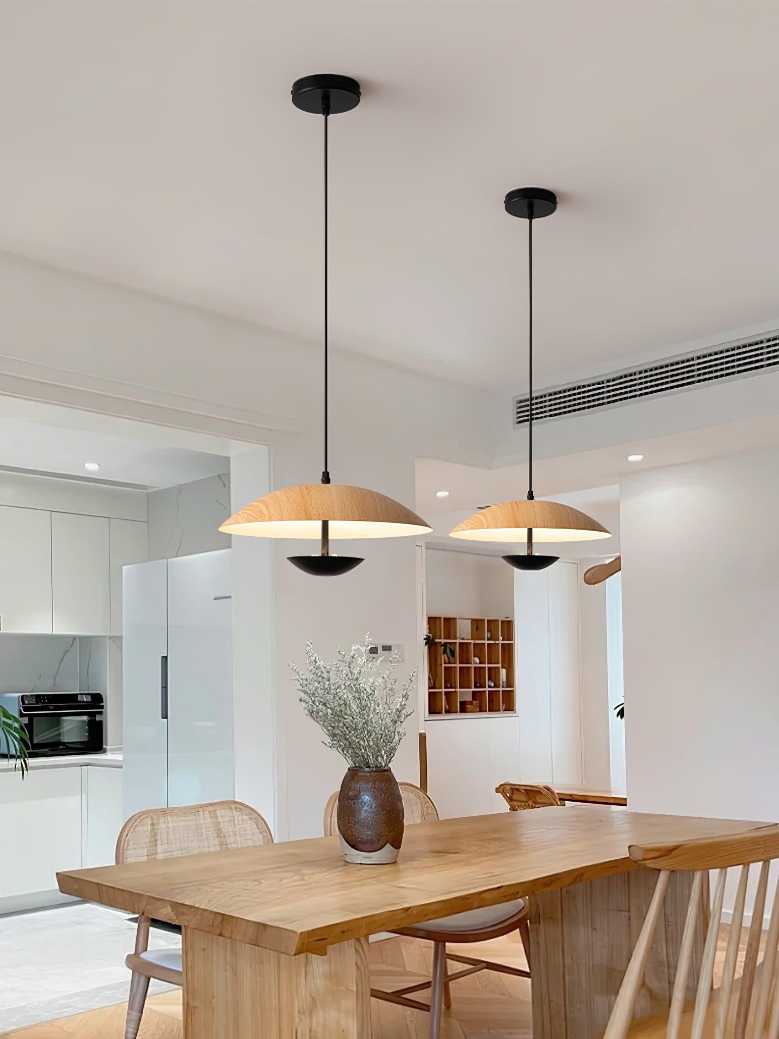 frisbee-pendant-lamp-anzaz--44