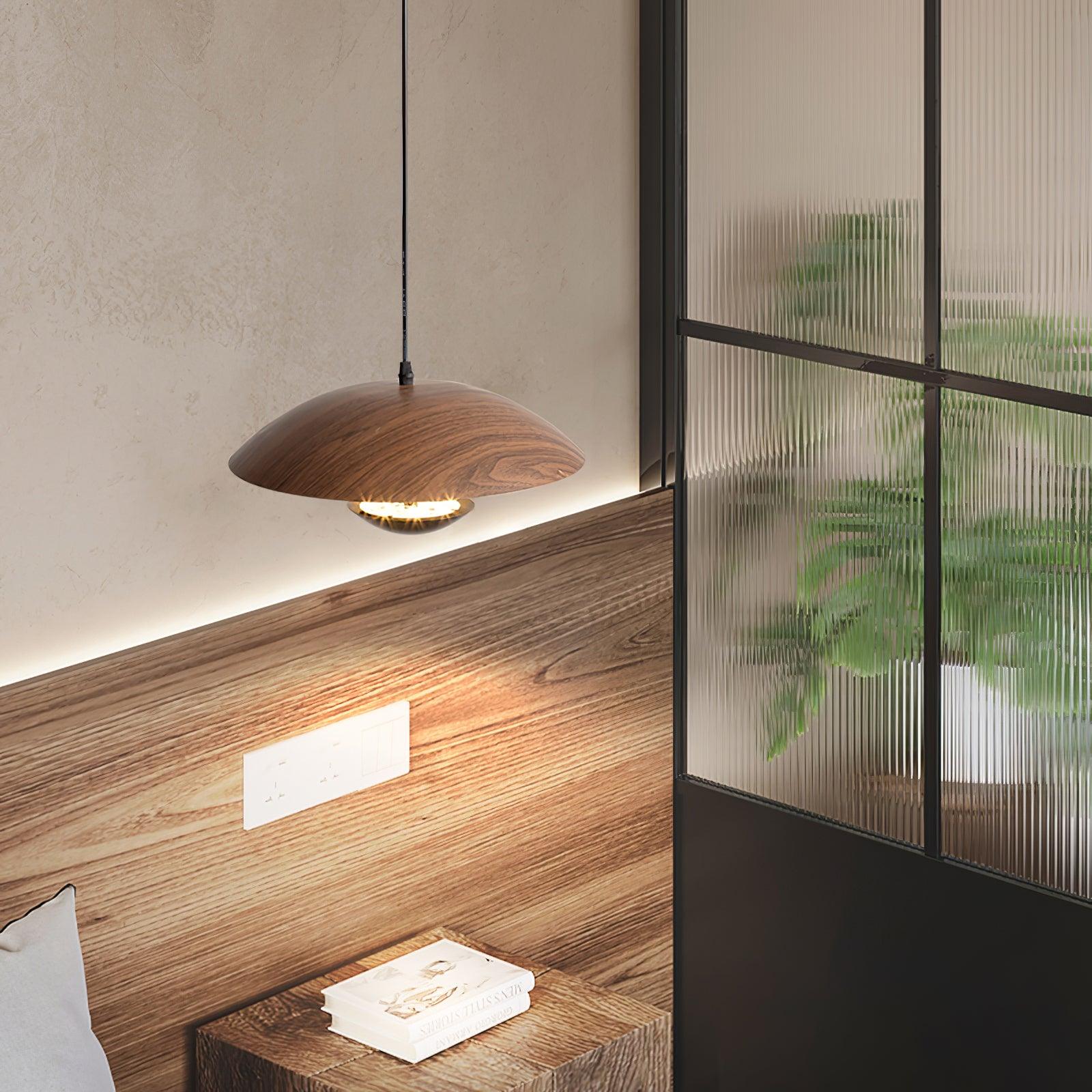 frisbee-pendant-lamp-anzaz--39