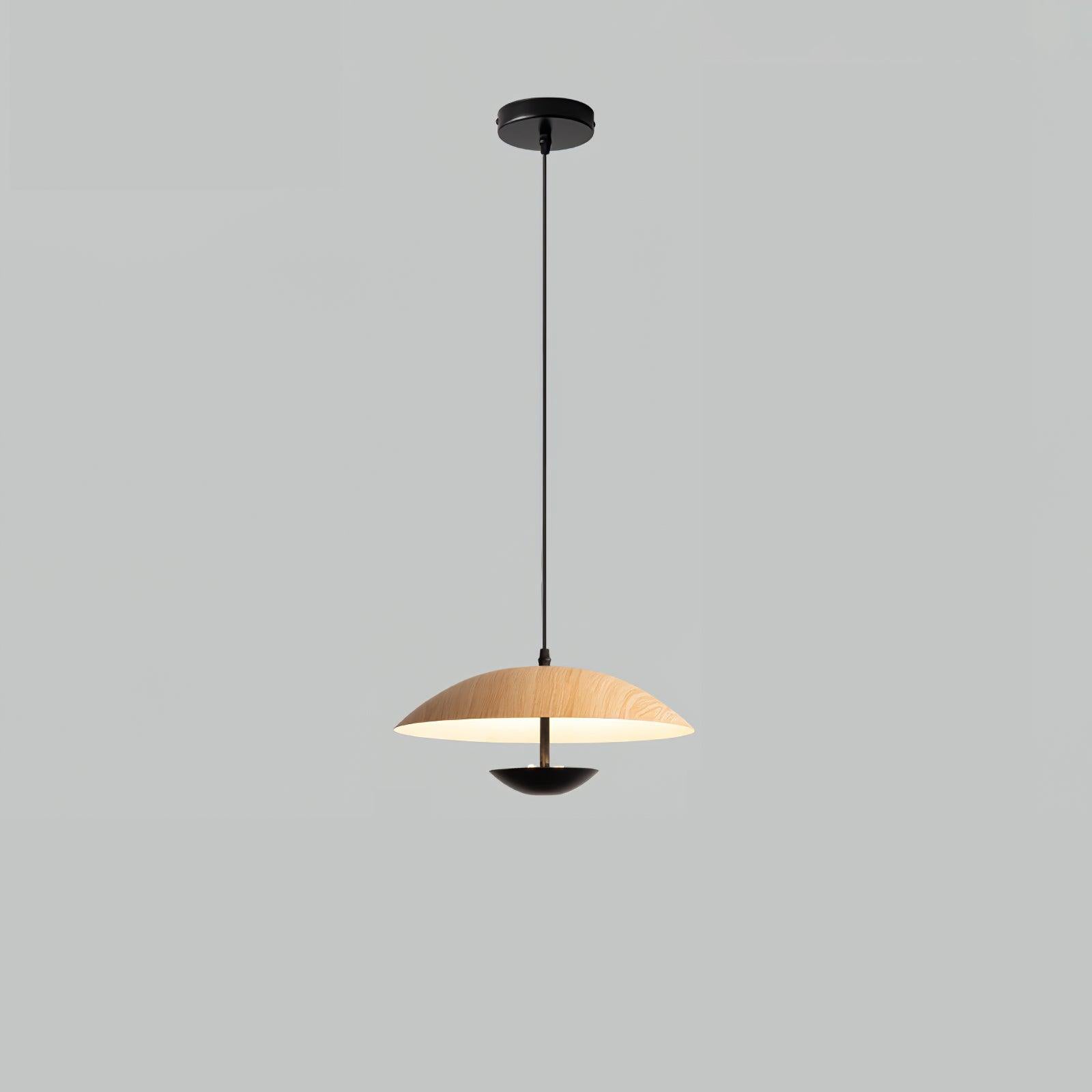 frisbee-pendant-lamp-anzaz--27