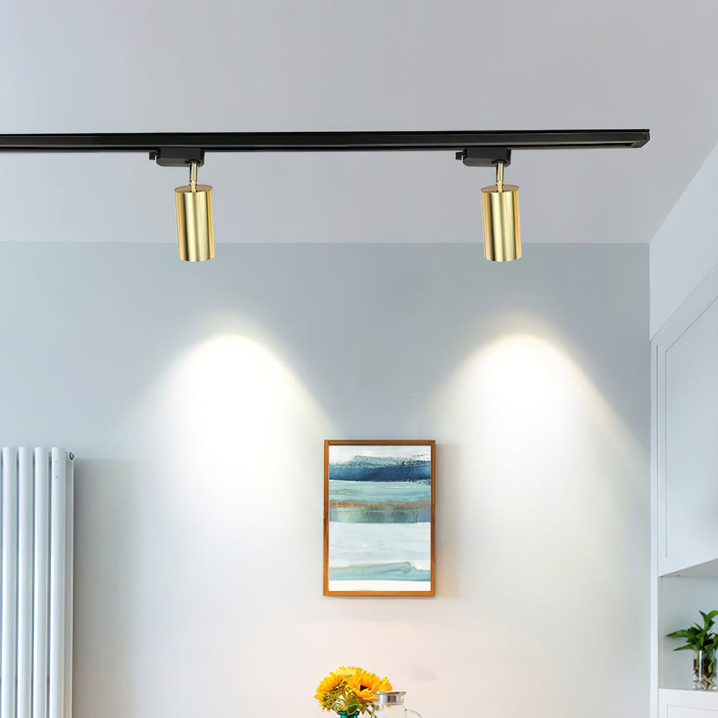 gilded-rail-track-light-anzaz--28