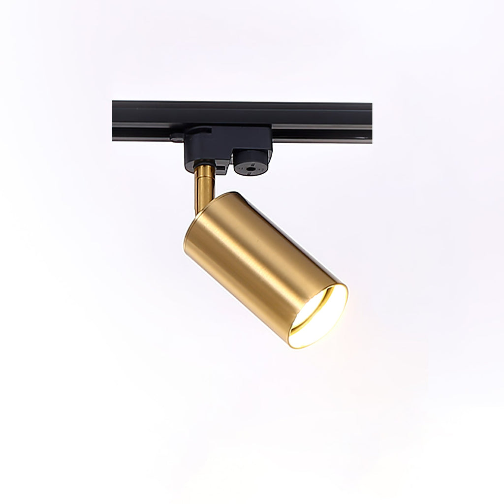 gilded-rail-track-light-anzaz--33