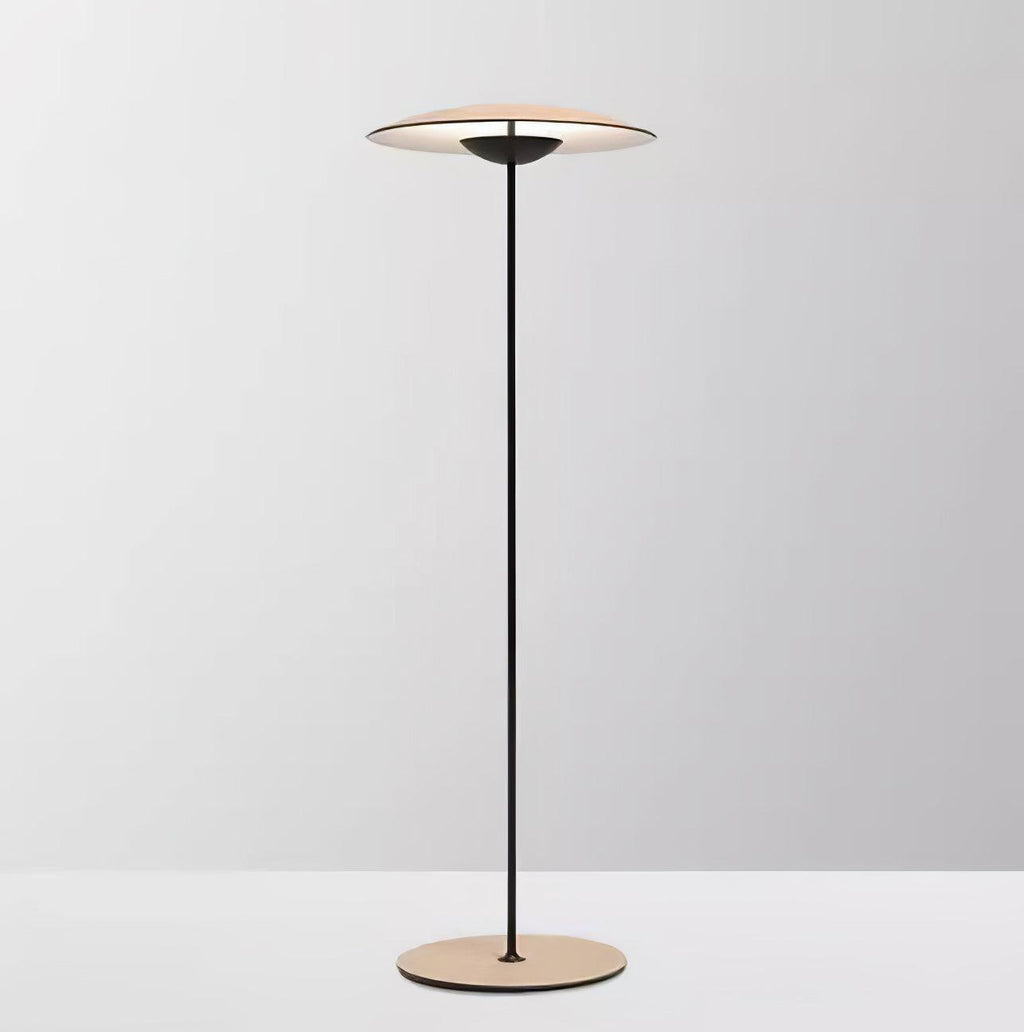 innovative-directional-floor-lamp-anzaz--44