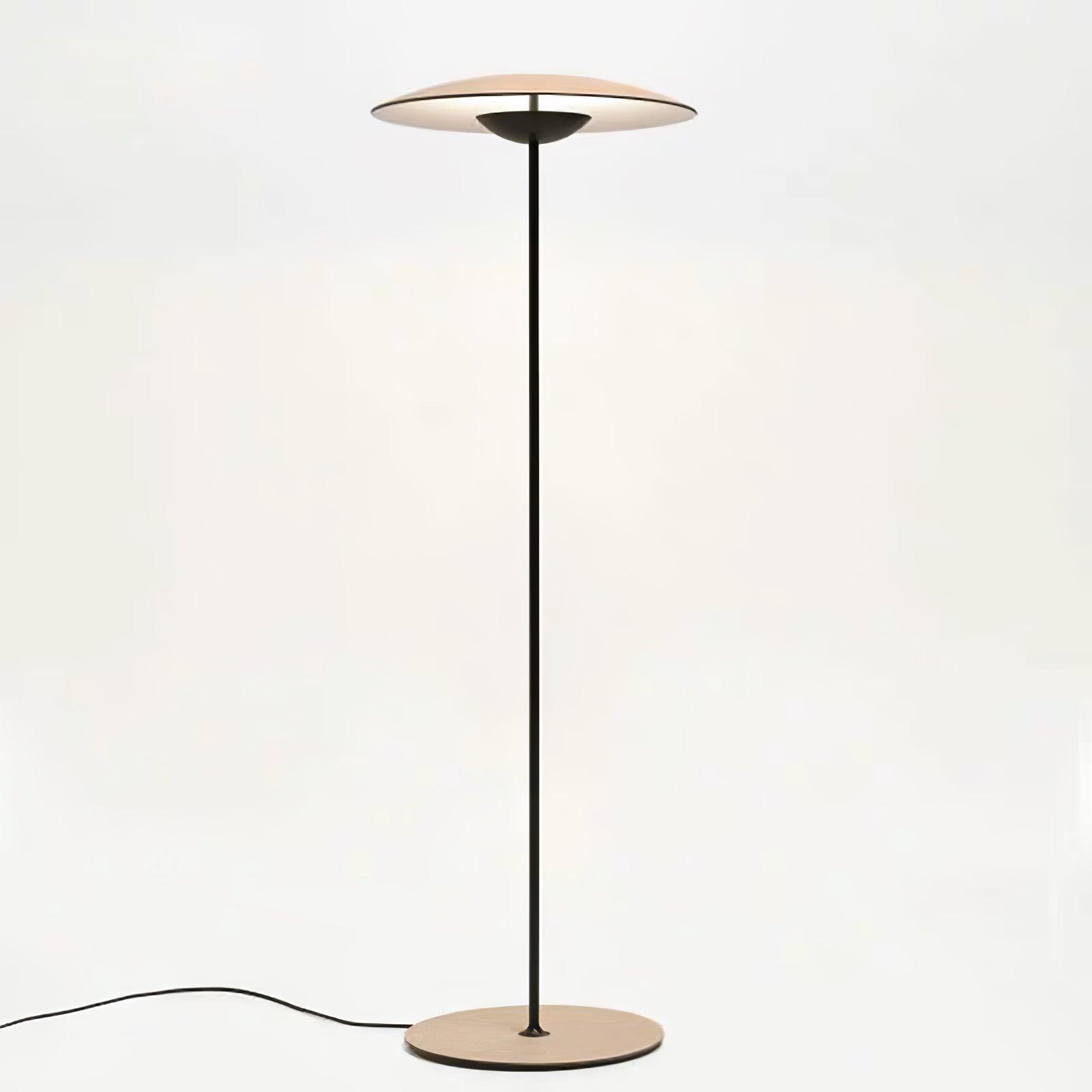 innovative-directional-floor-lamp-anzaz-Matt black-5
