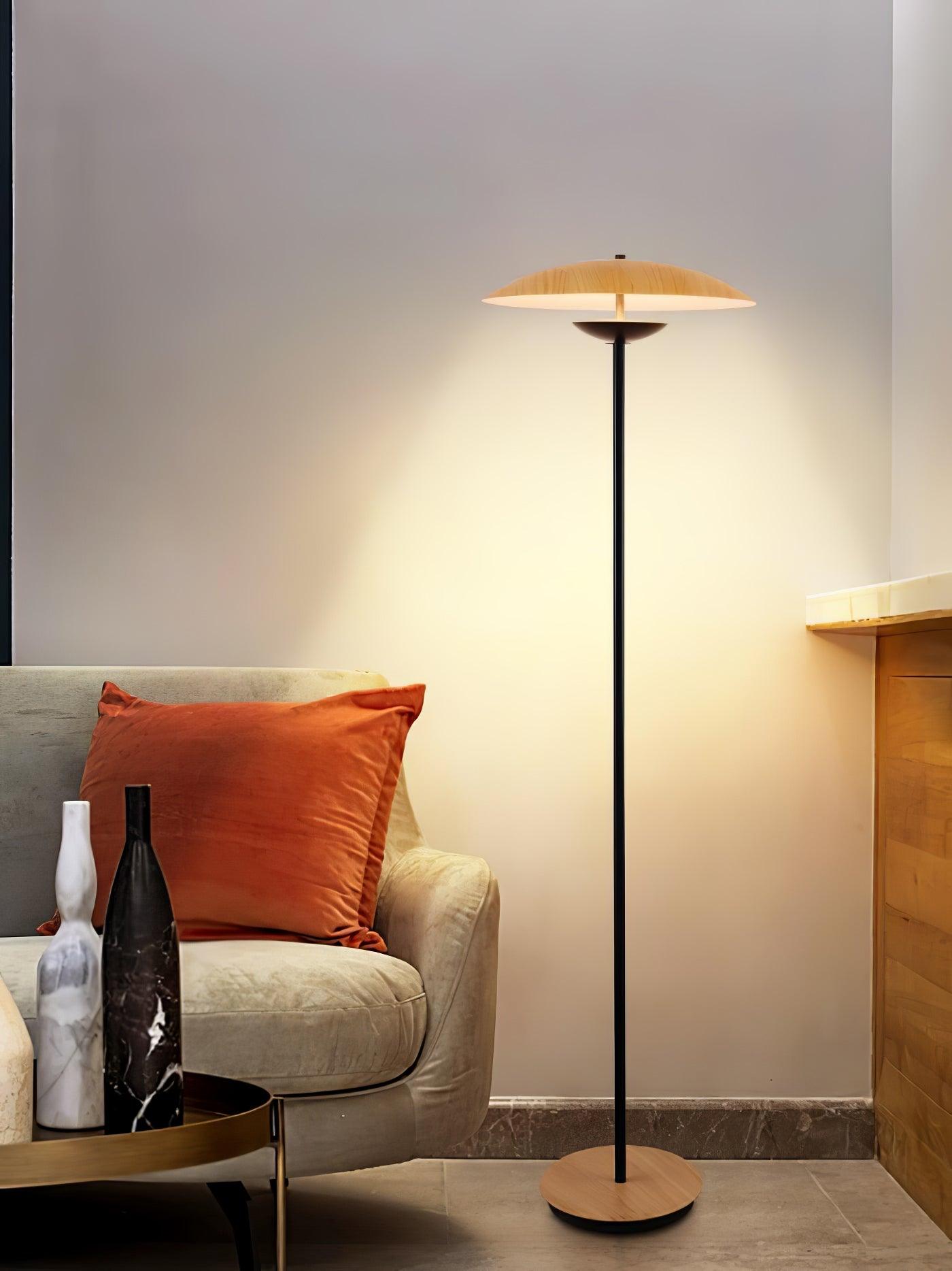 innovative-directional-floor-lamp-anzaz--32