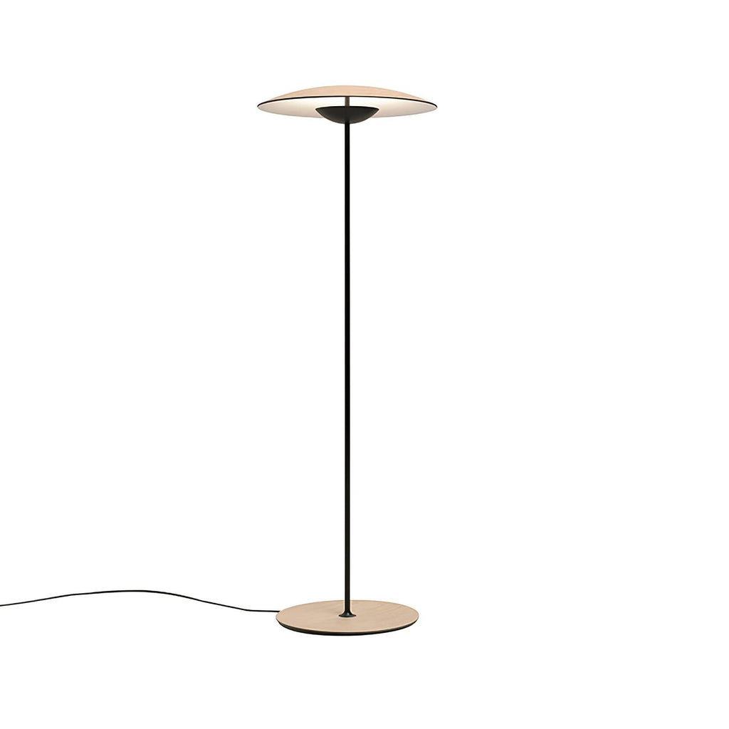 innovative-directional-floor-lamp-anzaz--43