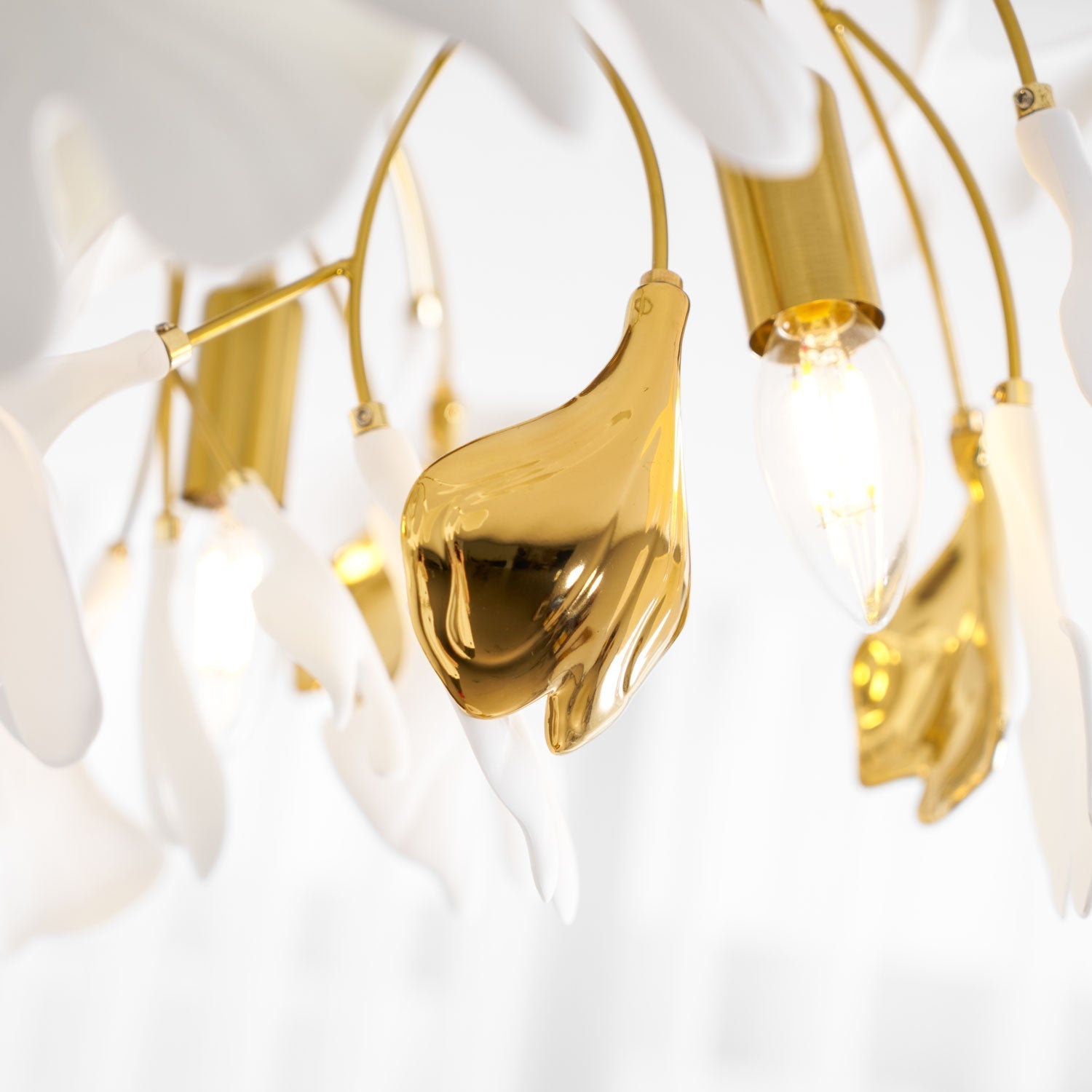 gingko-ceiling-lamp-anzaz--29