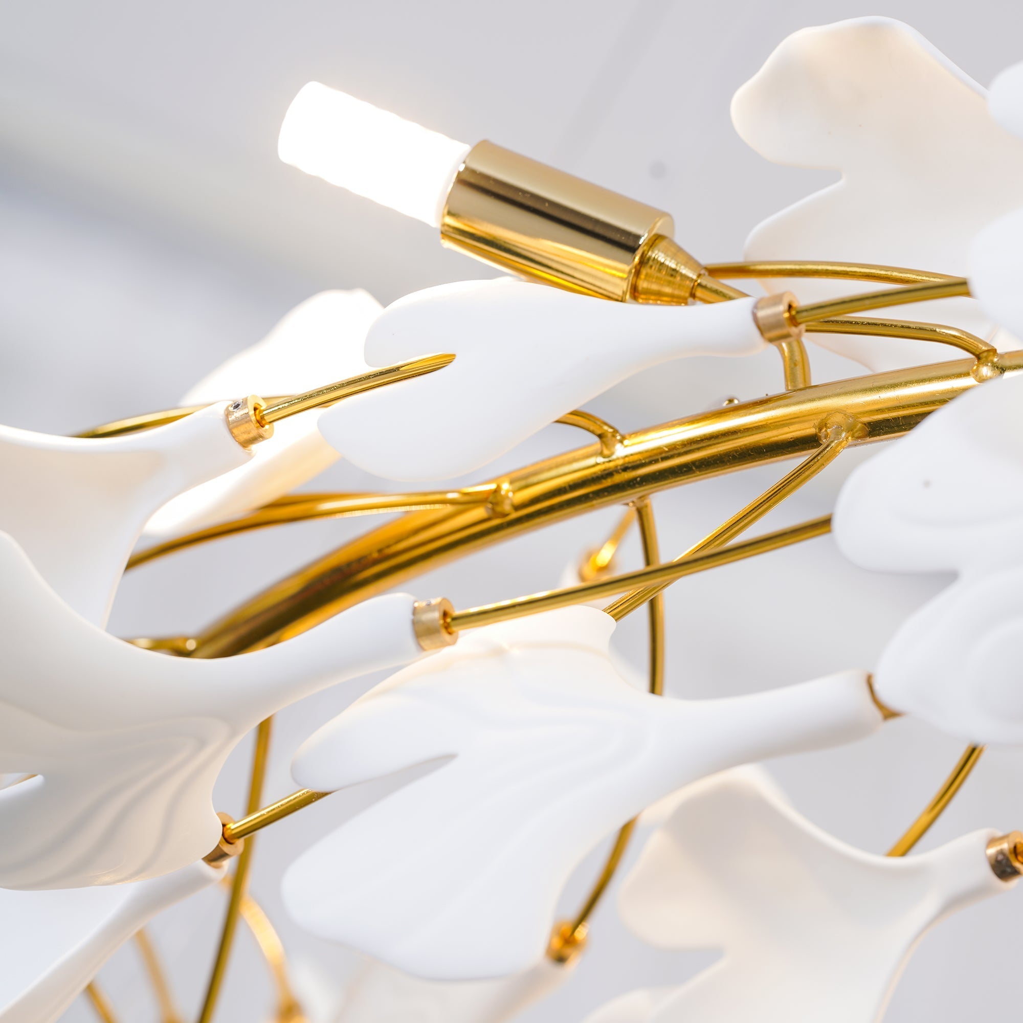 gingko-round-chandelier-u-anzaz--19