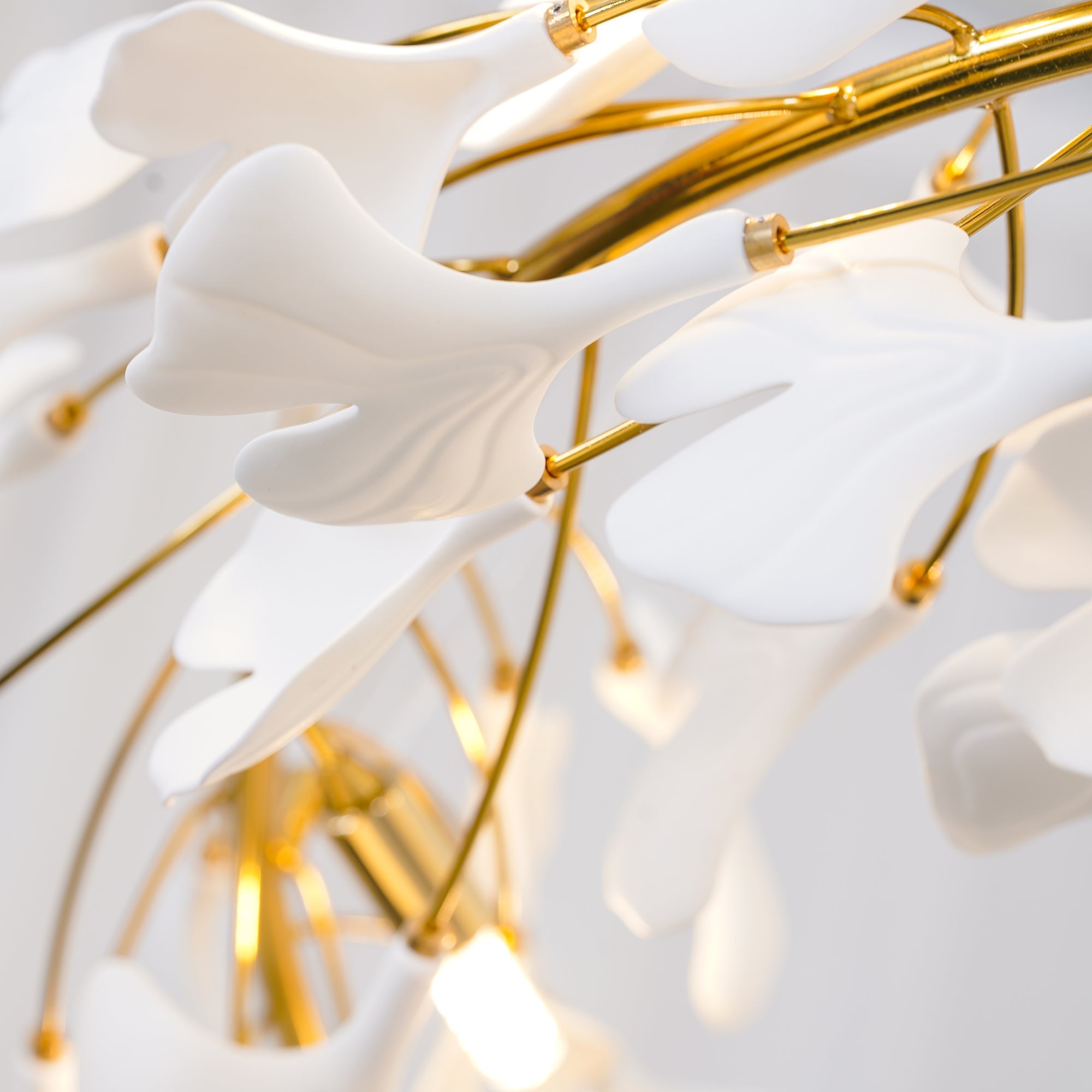 gingko-round-chandelier-u-anzaz--20