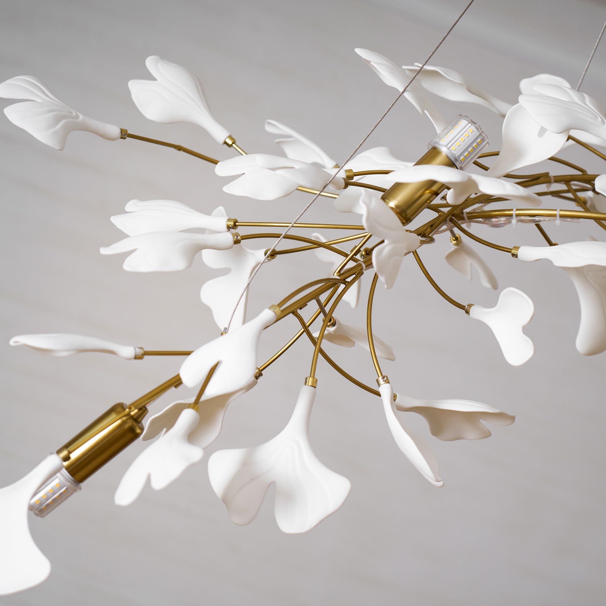 gingko-chandelier-a-anzaz--69