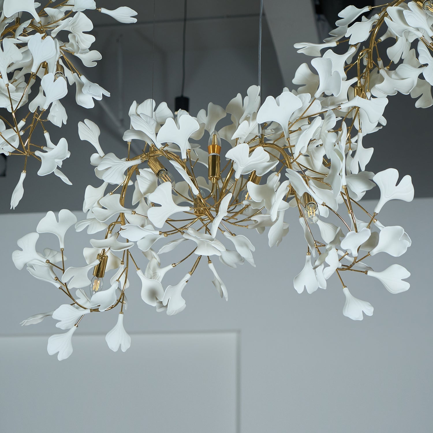 gingko-chandelier-c-anzaz--61