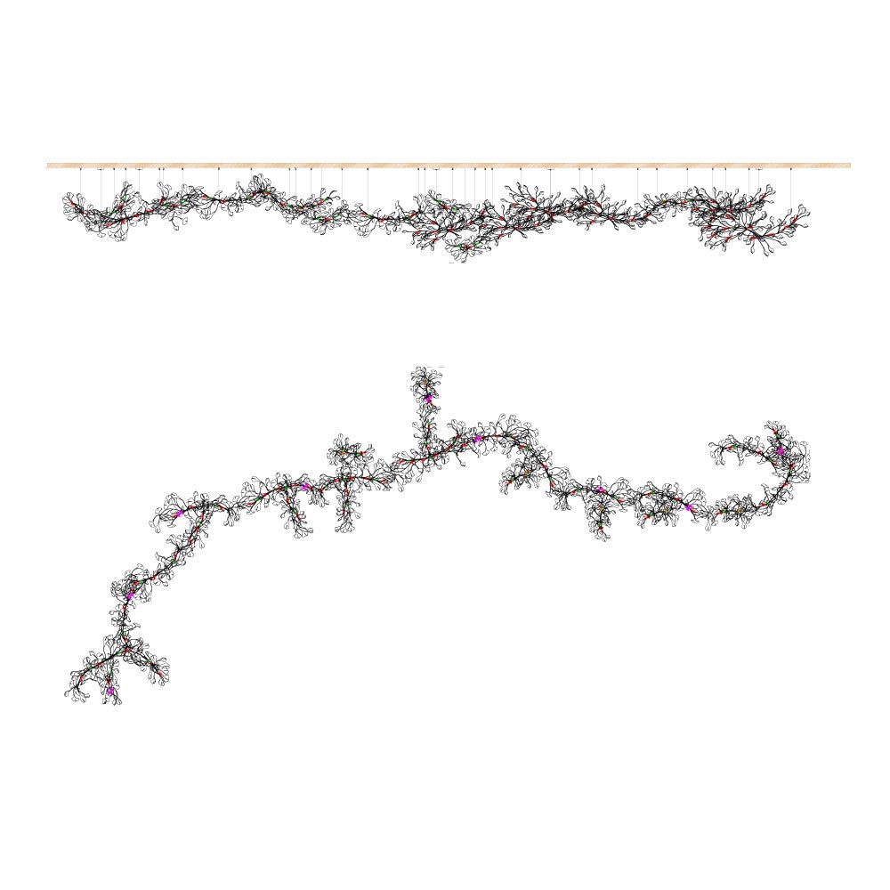 gingko-chandelier-e-anzaz--44