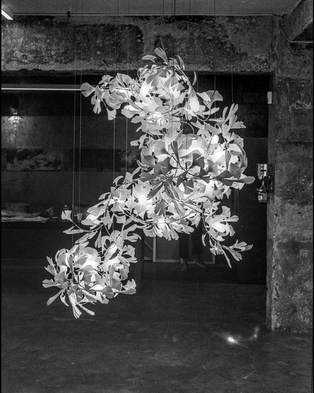 gingko-chandelier-f-anzaz--28