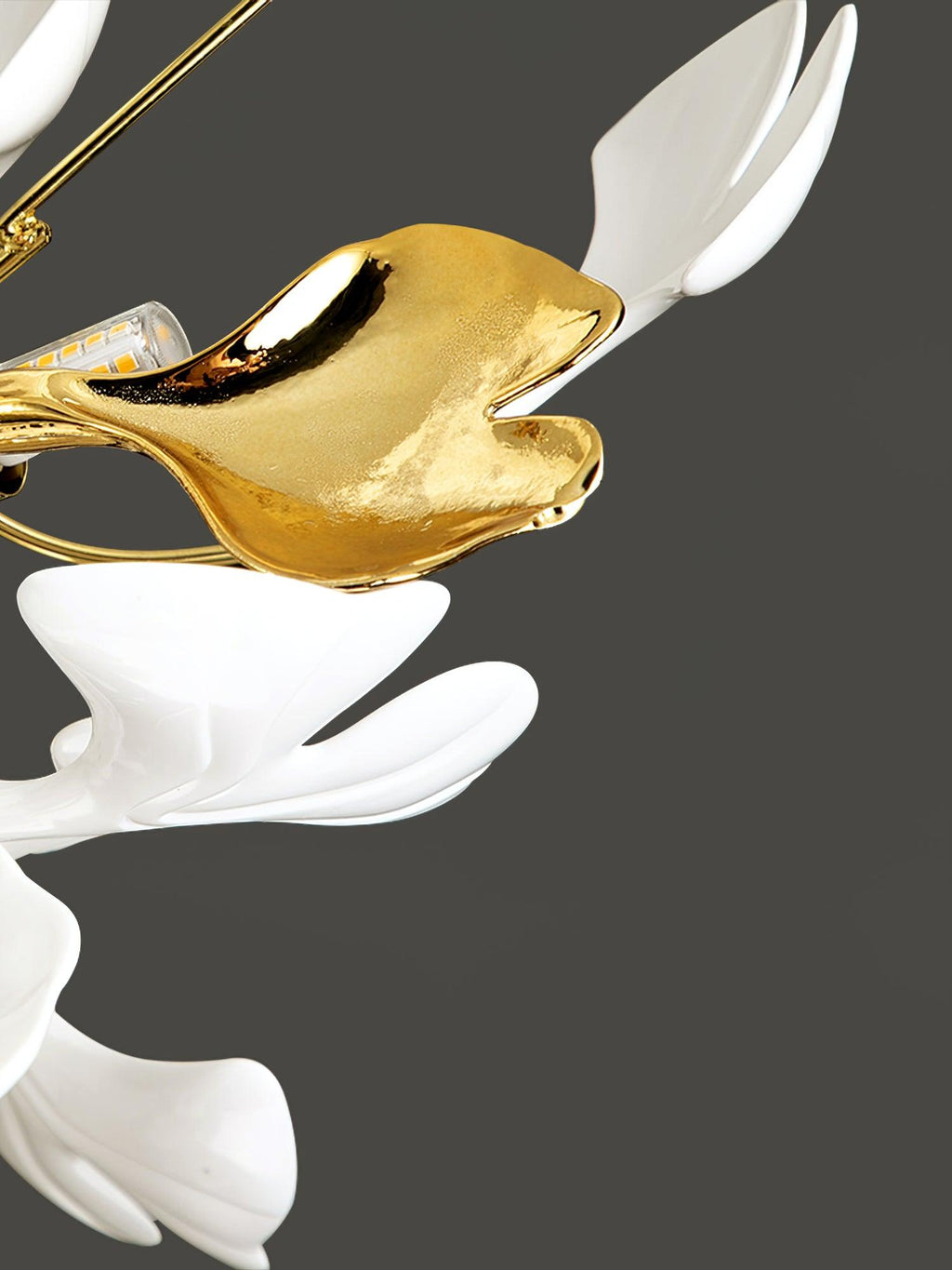 gingko-ceiling-lamp-anzaz--27