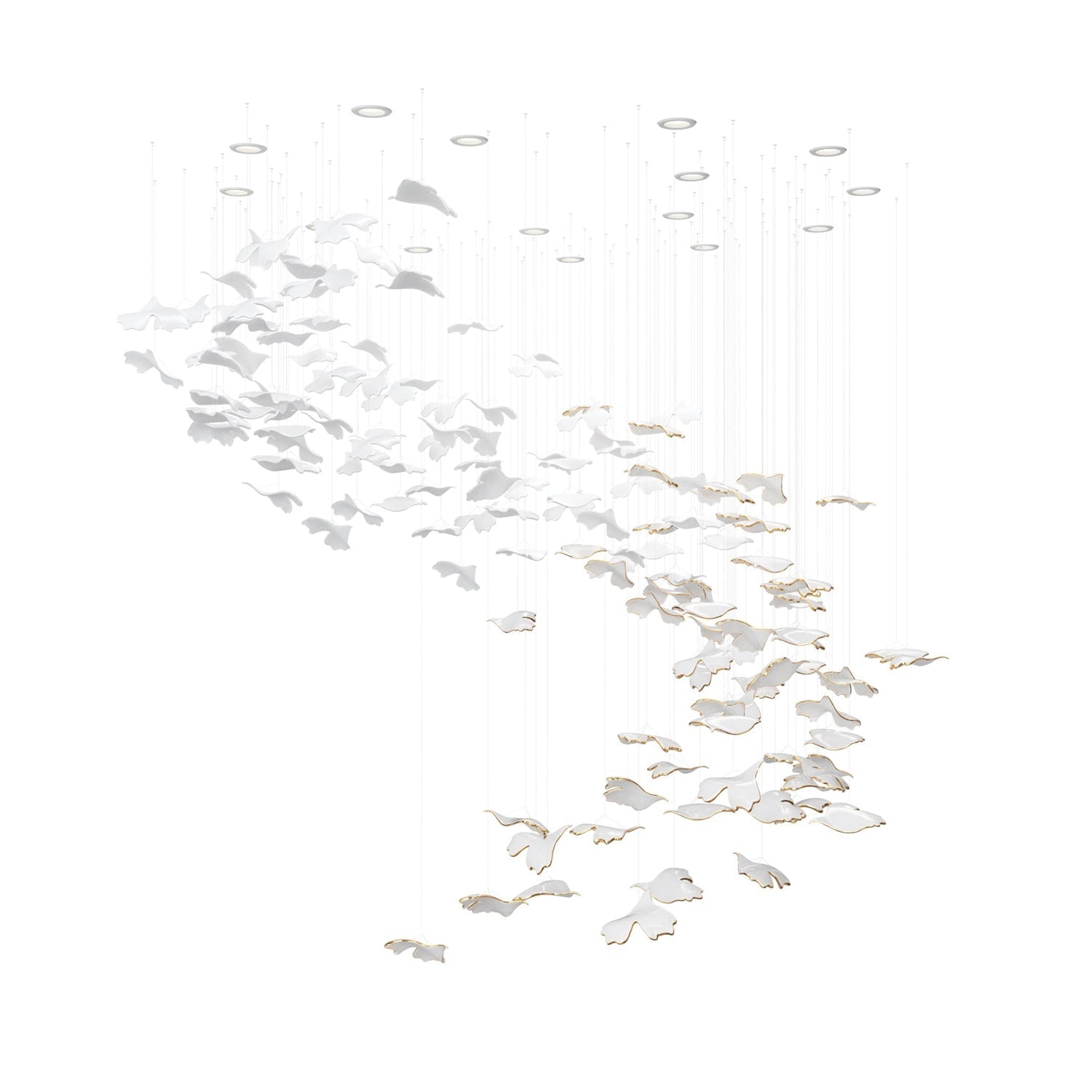 ginkgo-tree-chandelier-anzaz--10