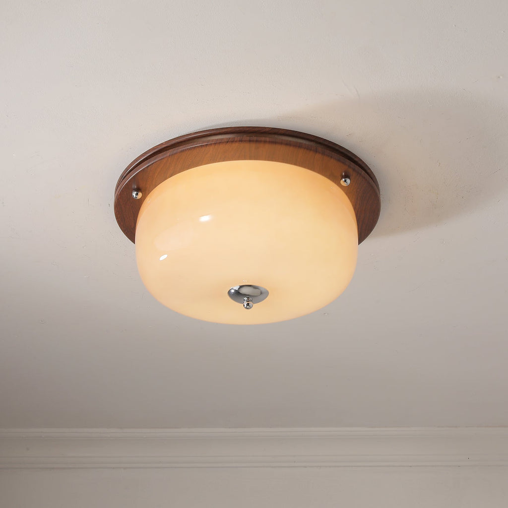 glass-dome-ceiling-light-anzaz--14