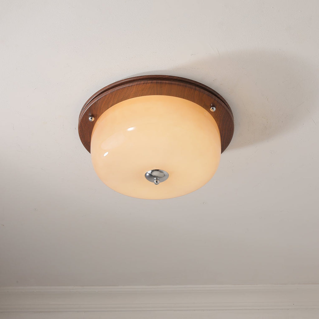 glass-dome-ceiling-light-anzaz--15