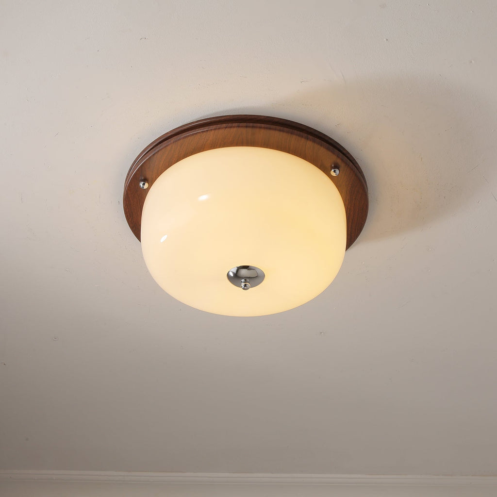 glass-dome-ceiling-light-anzaz--22