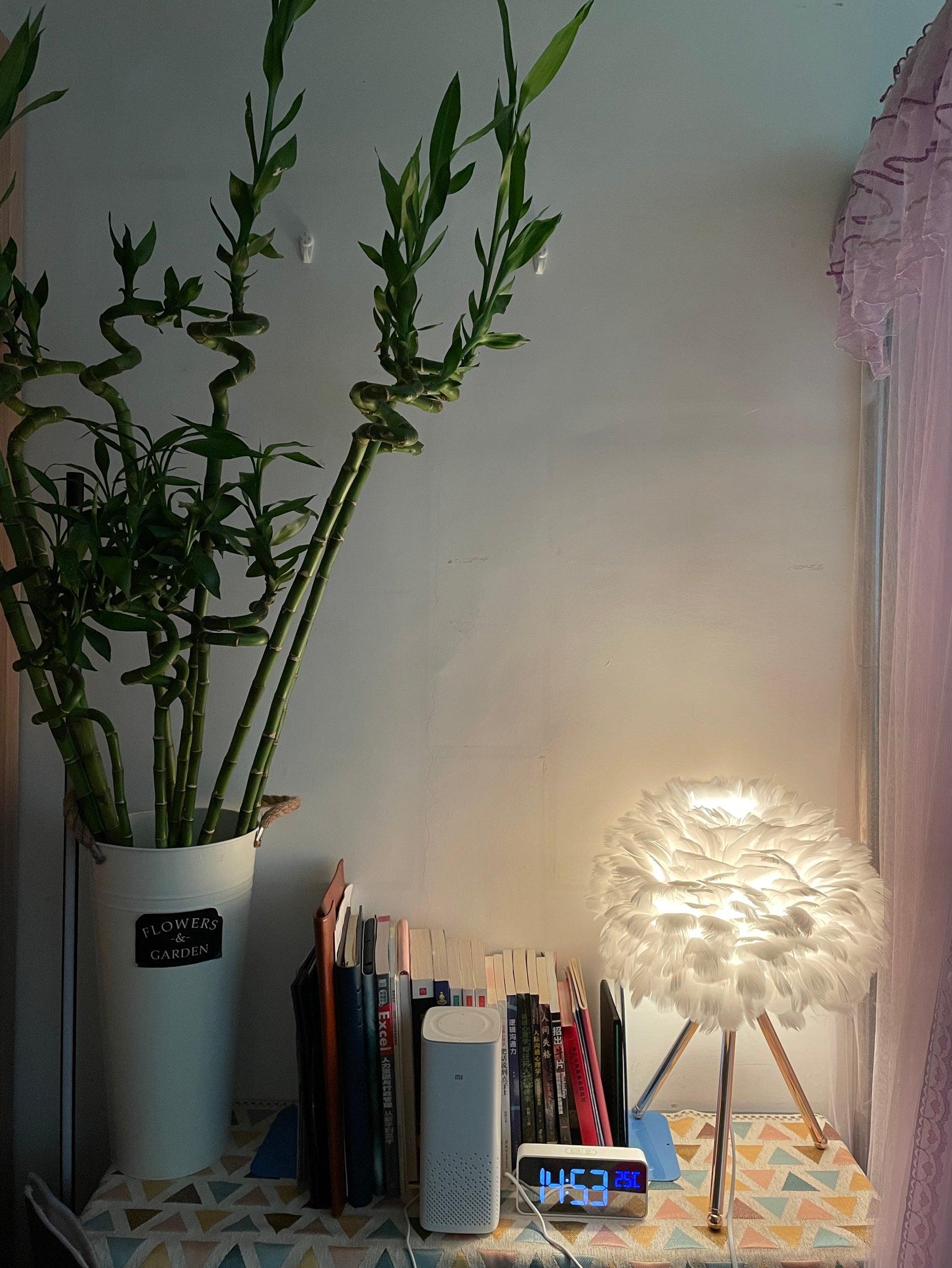 goose-feather-table-lamp-anzaz--31