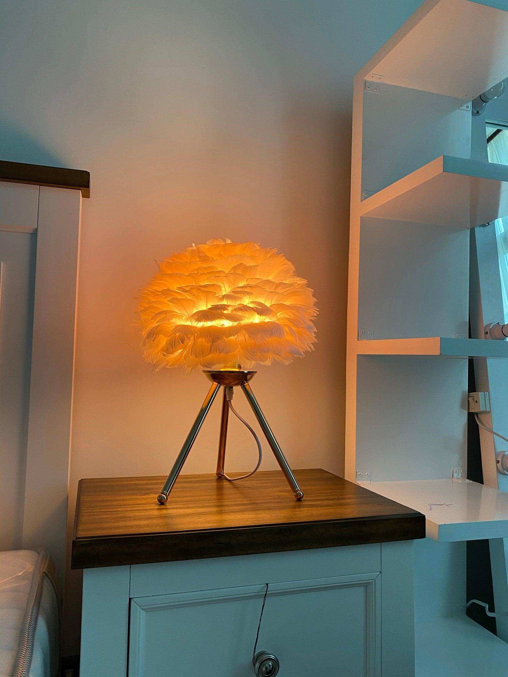 goose-feather-table-lamp-anzaz--35