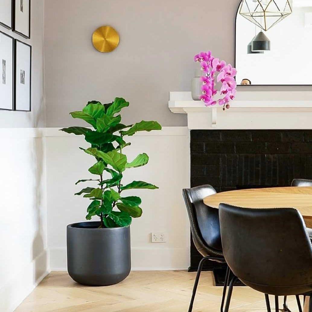 gossa-sconce-anzaz-Black-8