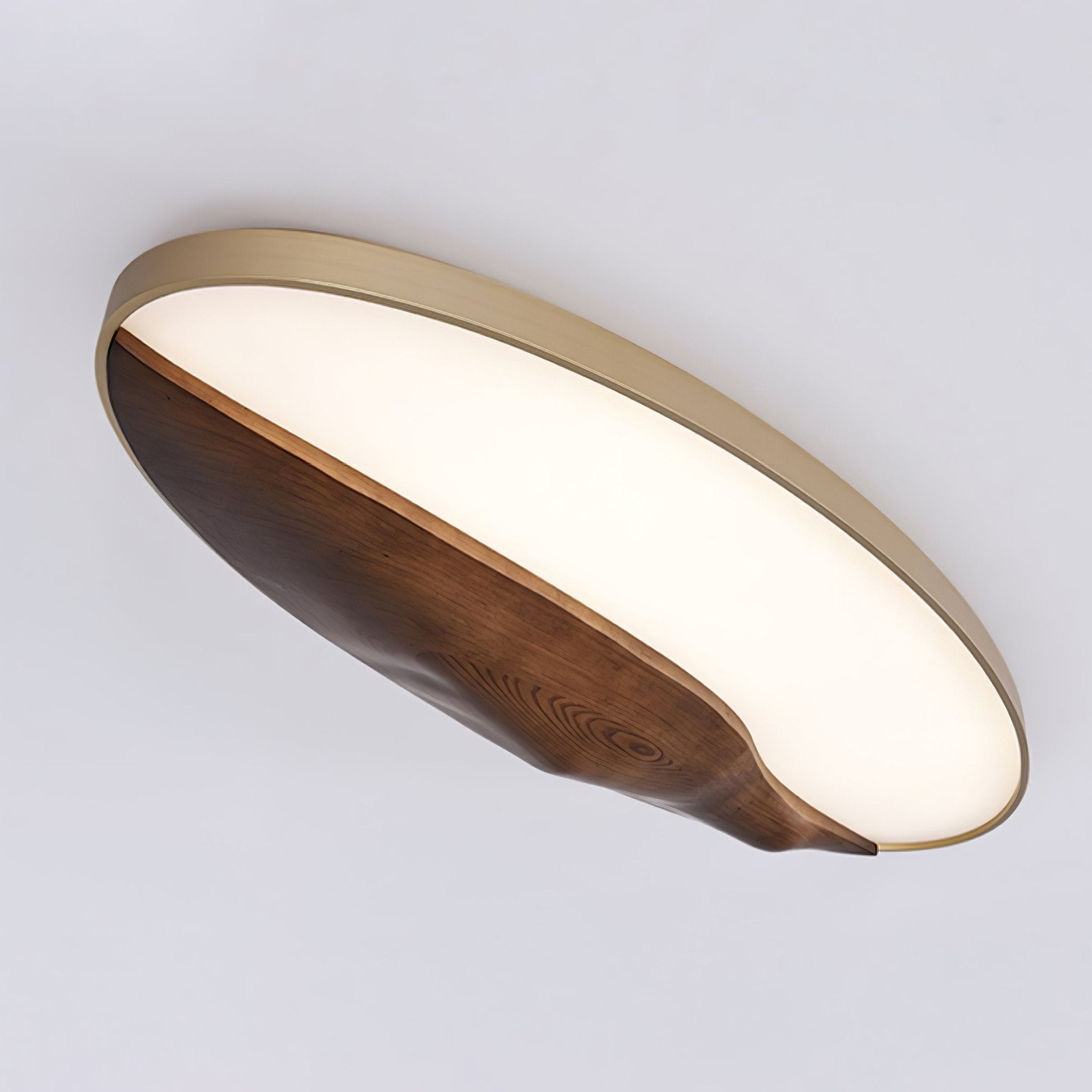 half-mountain-ceiling-lamp-anzaz--5