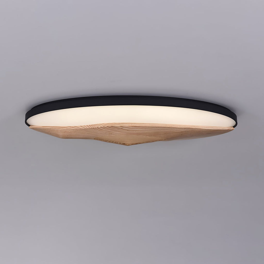 half-mountain-ceiling-lamp-anzaz--9